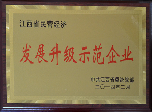 仁和集團榮膺“江西省民營經濟發(fā)展升級示范企業(yè)”