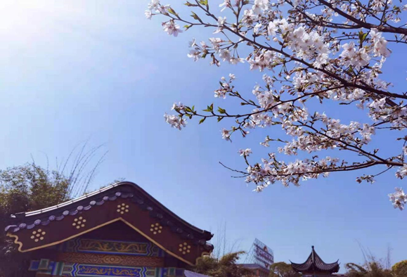 一路向陽  春暖花開